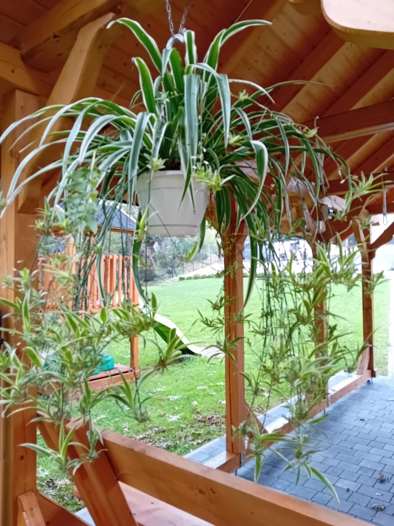 Apartamenty Nad Rzeka Kacwin Exterior foto